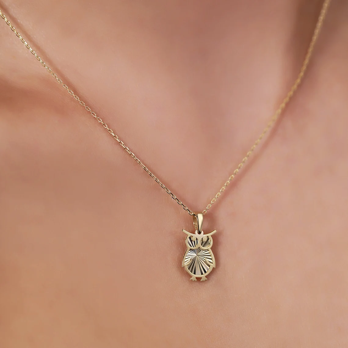 il_1140xN.5567117156_gzn9 14K Gold Owl Necklace | Dainty Yellow Gold Bird Charm - Görsel 1